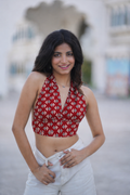 BEBO - Boho Jaipur Top